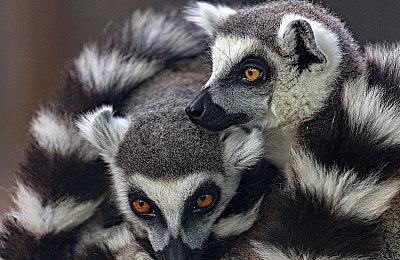 《死亡回归》斩获英国开发者评奖：年度最佳奖项